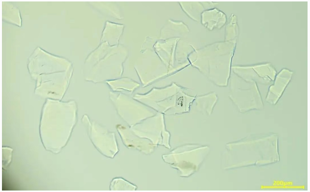 企業微信截圖_20250603175809