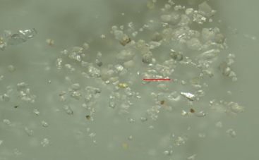 微信圖片_2025-12-29_135929_837